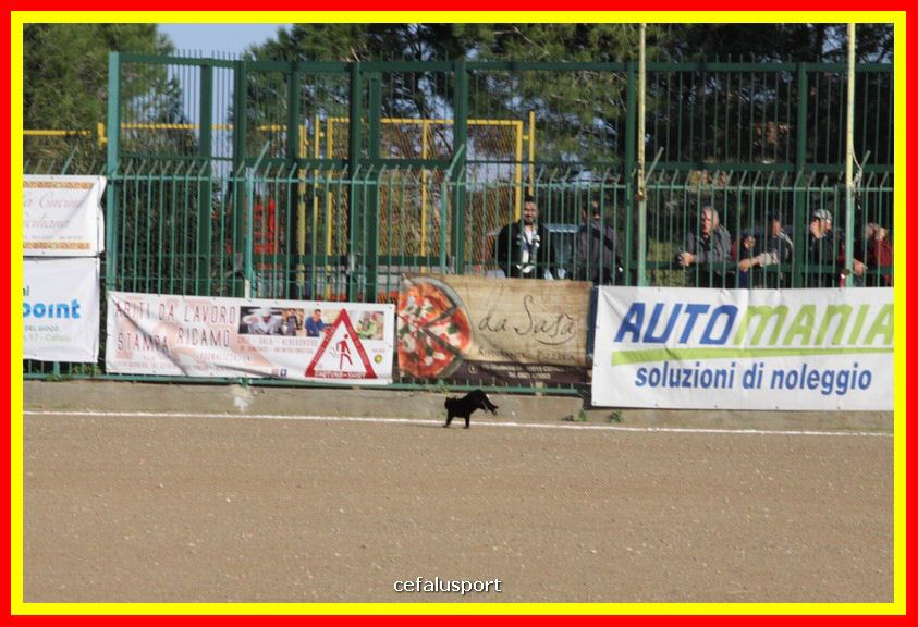 181111 Cepha_Milazzo 057_tn.JPG